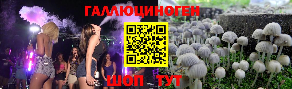 Псилоцибиновые грибы мицелий Подольск