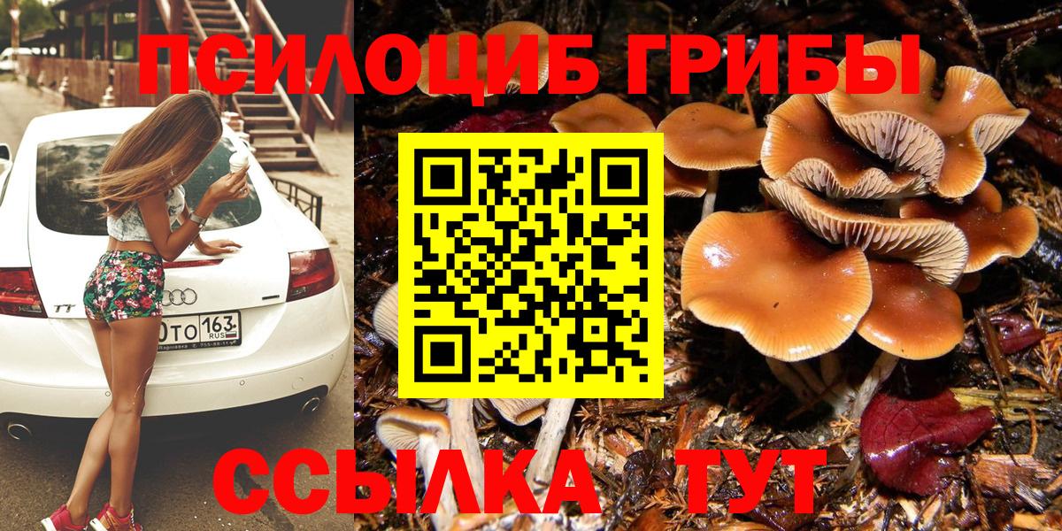 Подольск  Псилоцибиновые грибы MAGIC MUSHROOMS  Вход с VPN 